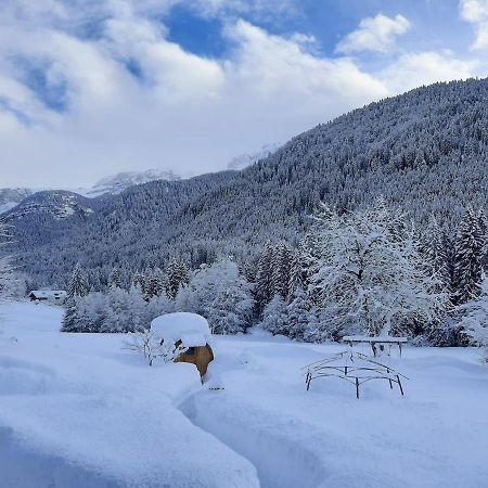 Maso Pin Bed & Breakfast Madonna di Campiglio Bagian luar foto