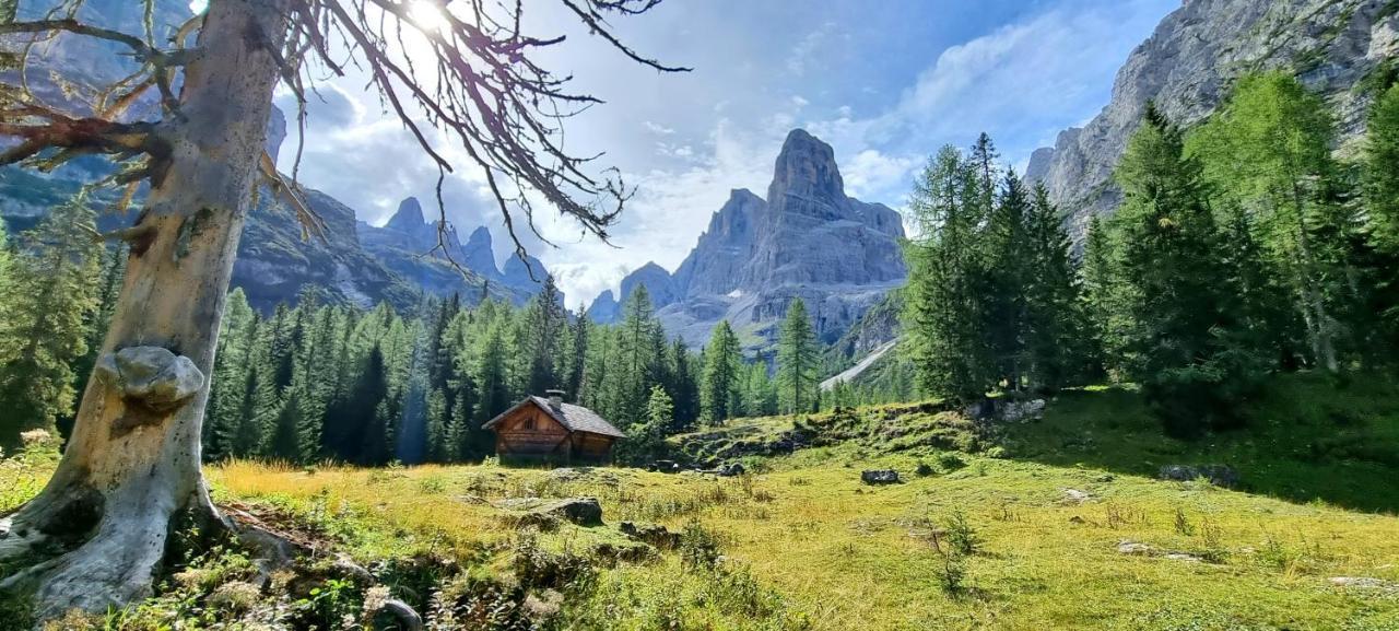 Maso Pin Bed & Breakfast Madonna di Campiglio Bagian luar foto