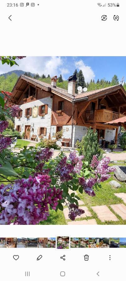 Maso Pin Bed & Breakfast Madonna di Campiglio Bagian luar foto