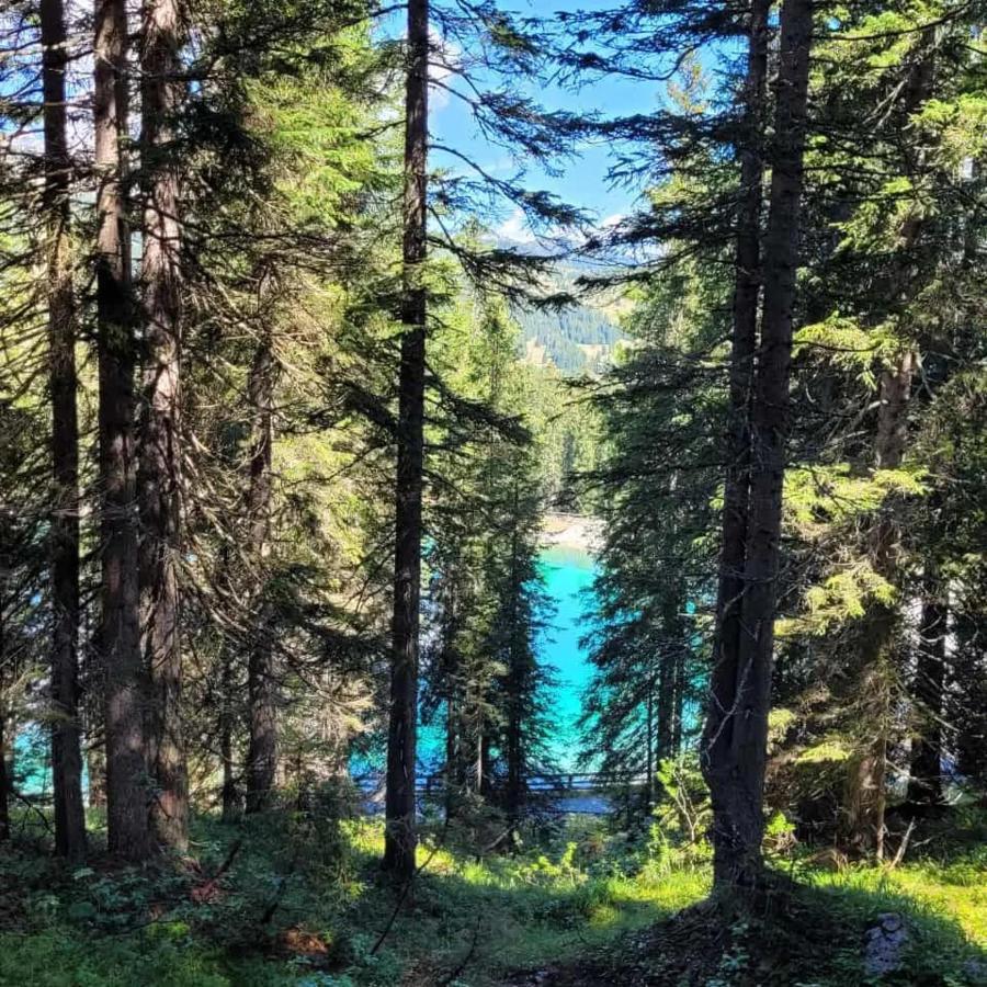 Maso Pin Bed & Breakfast Madonna di Campiglio Bagian luar foto