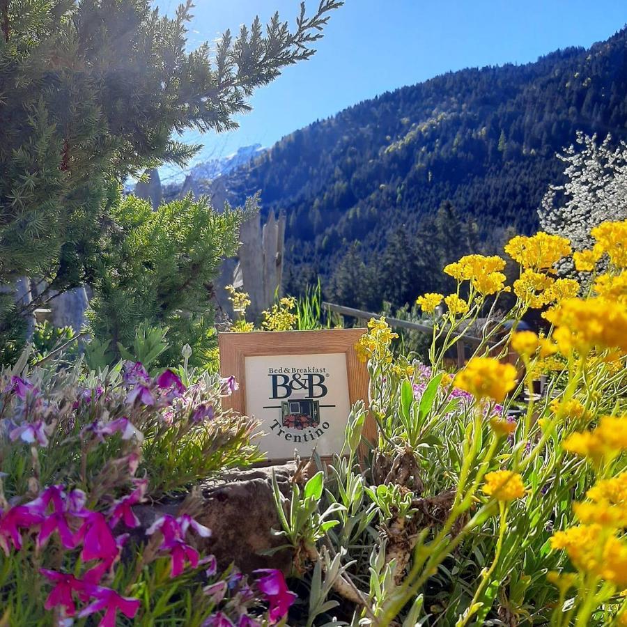 Maso Pin Bed & Breakfast Madonna di Campiglio Bagian luar foto