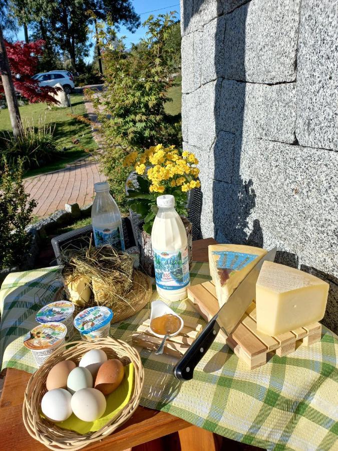 Maso Pin Bed & Breakfast Madonna di Campiglio Bagian luar foto
