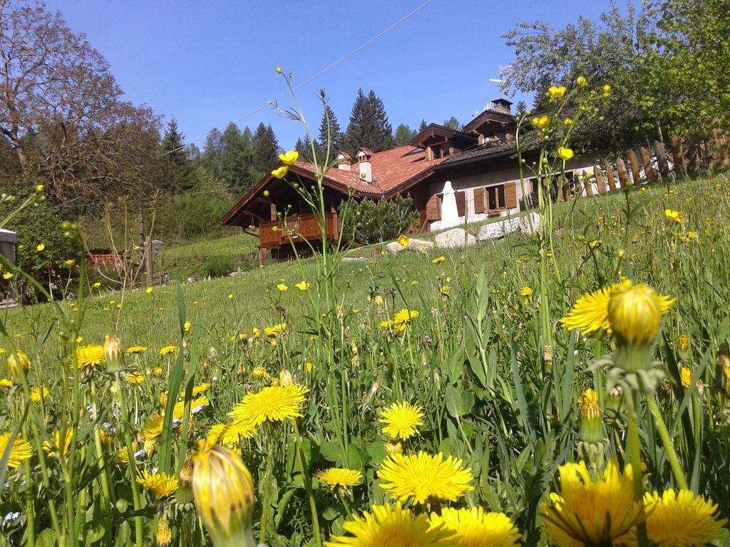 Maso Pin Bed & Breakfast Madonna di Campiglio Bagian luar foto