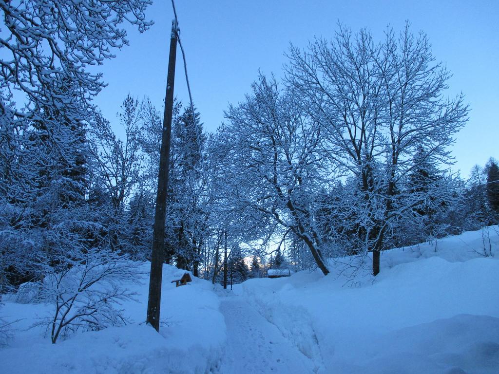Maso Pin Bed & Breakfast Madonna di Campiglio Bagian luar foto