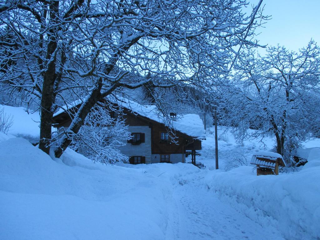 Maso Pin Bed & Breakfast Madonna di Campiglio Bagian luar foto