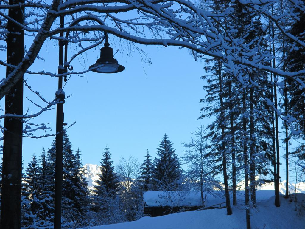 Maso Pin Bed & Breakfast Madonna di Campiglio Bagian luar foto