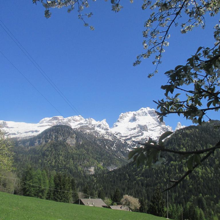 Maso Pin Bed & Breakfast Madonna di Campiglio Bagian luar foto