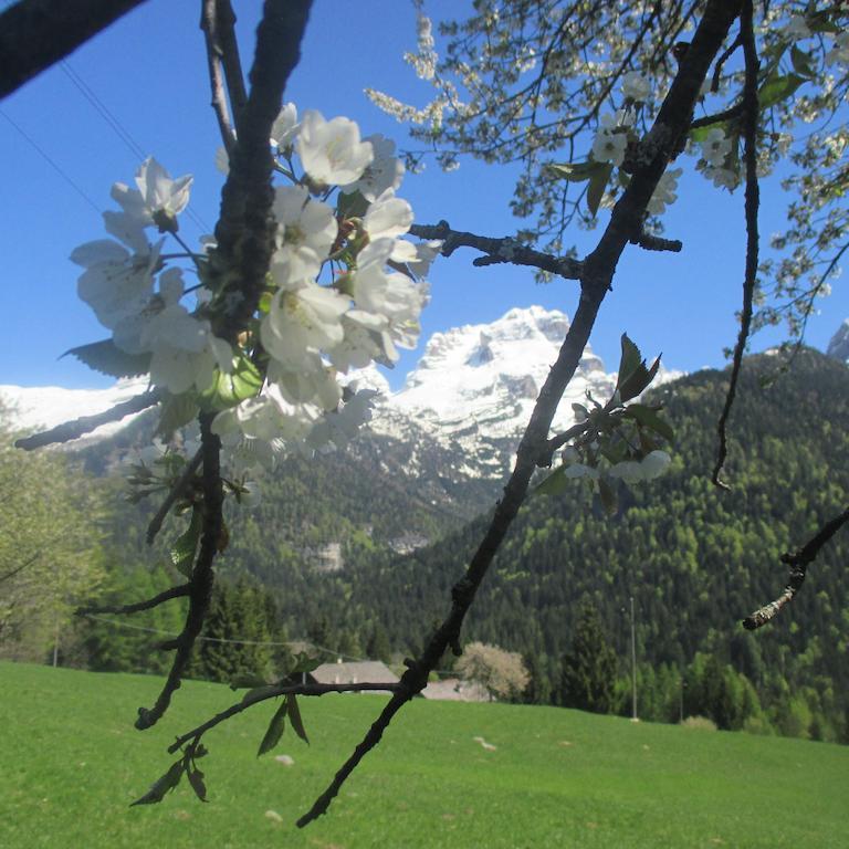 Maso Pin Bed & Breakfast Madonna di Campiglio Bagian luar foto