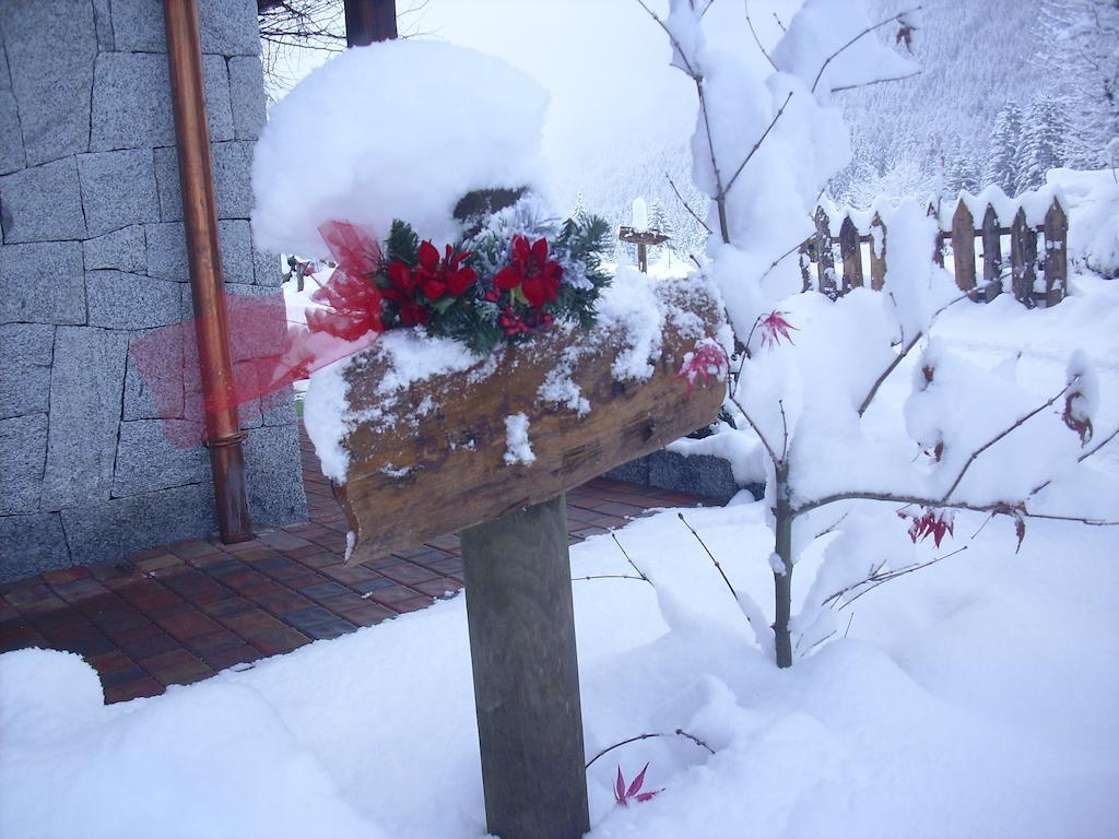 Maso Pin Bed & Breakfast Madonna di Campiglio Bagian luar foto