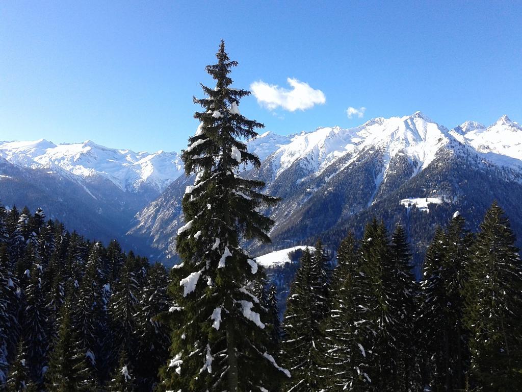 Maso Pin Bed & Breakfast Madonna di Campiglio Bagian luar foto