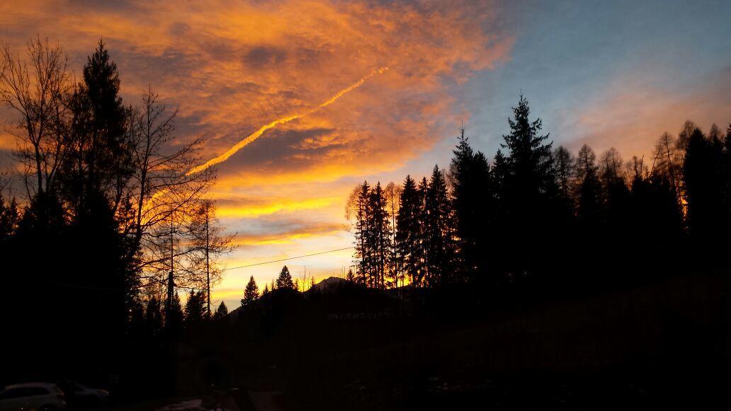 Maso Pin Bed & Breakfast Madonna di Campiglio Bagian luar foto