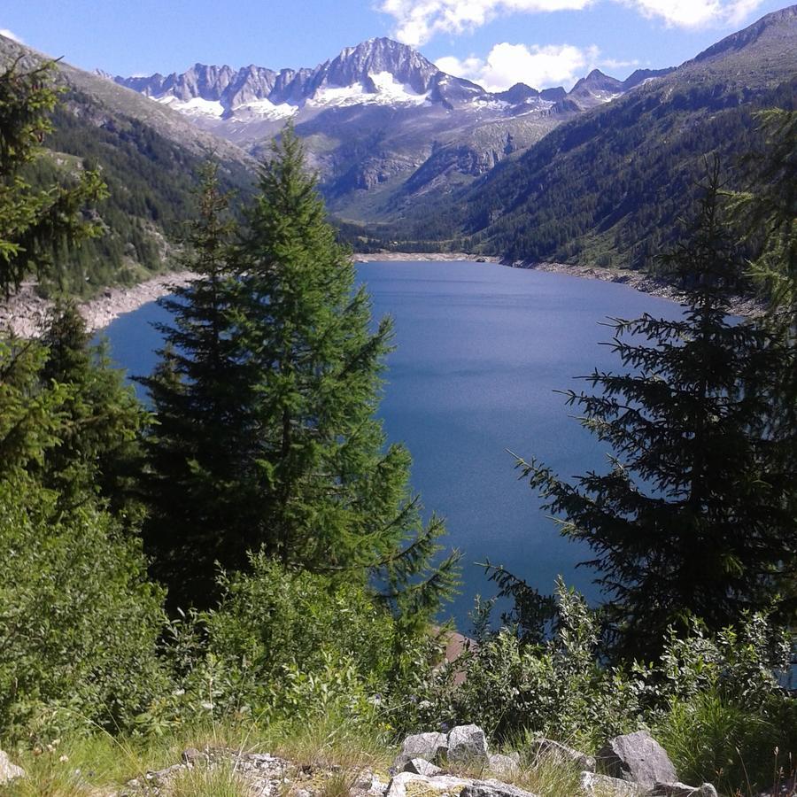 Maso Pin Bed & Breakfast Madonna di Campiglio Bagian luar foto